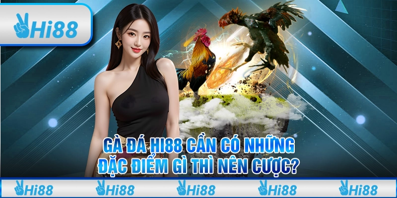 Gà Đá Hi88 Cần Có Những Đặc Điểm Gì Thì Nên Cược?