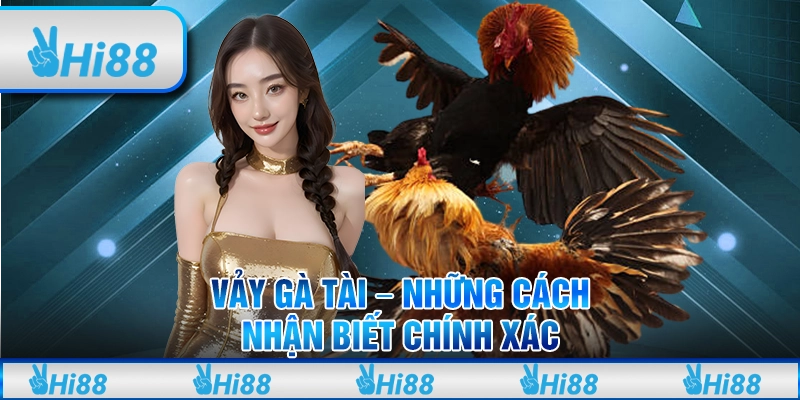 Vảy Gà Tài - Những Cách Nhận Biết Chính Xác