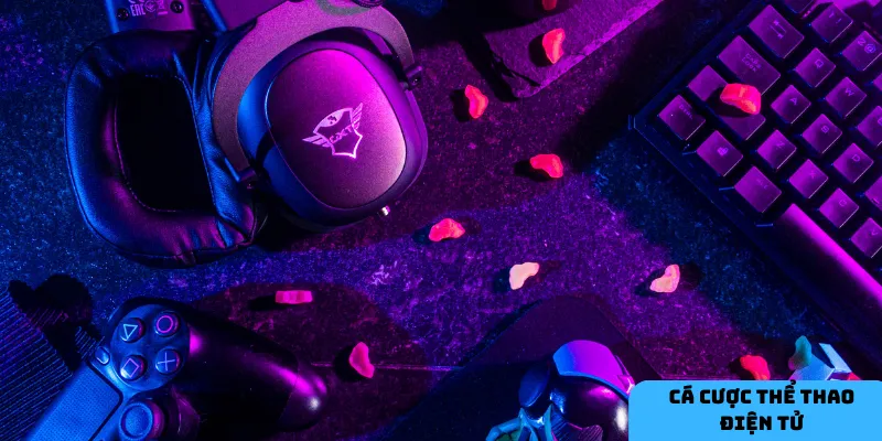 Quản lý ngân sách cá cược.