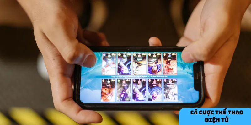 Đảm bảo an toàn khi cá cược.