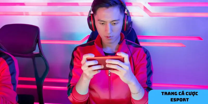 Quản lý vốn tốt là chìa khóa để cá cược esport hiệu quả.