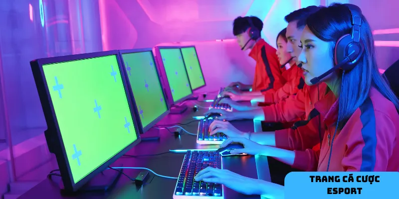 Hãy giữ tâm lý tỉnh táo và đưa ra quyết định dựa trên phân tích thay vì cảm tính.