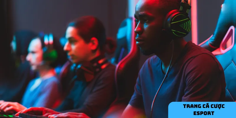 Người chơi có thể tự do lựa chọn và trải nghiệm theo sở thích cá nhân.