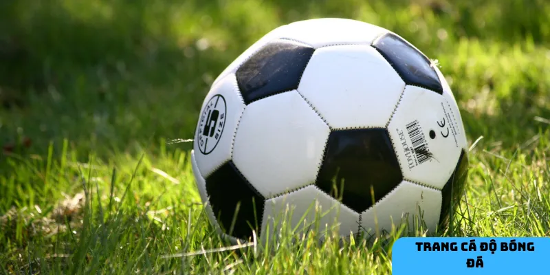 Tỷ lệ cược chính xác giúp bạn tăng cơ hội thắng khi đặt cược.