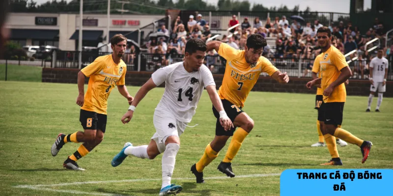 Quản lý vốn tốt là chìa khóa thành công khi cá độ bóng đá.