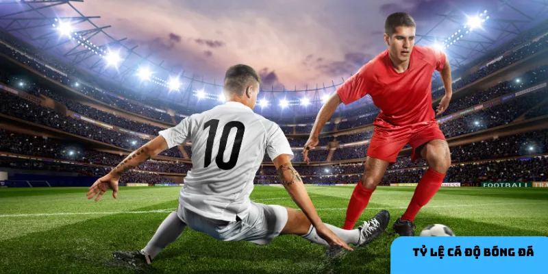 Theo dõi biến động kèo giúp bạn đưa ra quyết định đúng đắn.