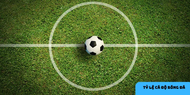 Tránh sai lầm để cải thiện hiệu quả cá độ bóng đá.