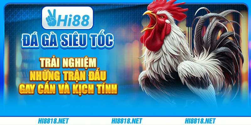 Đá gà siêu tốc – trải nghiệm những trận đấu gay cấn và kịch tính