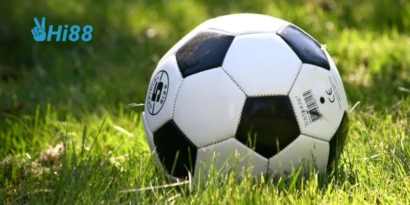 Cập nhật liên tục và chính xác