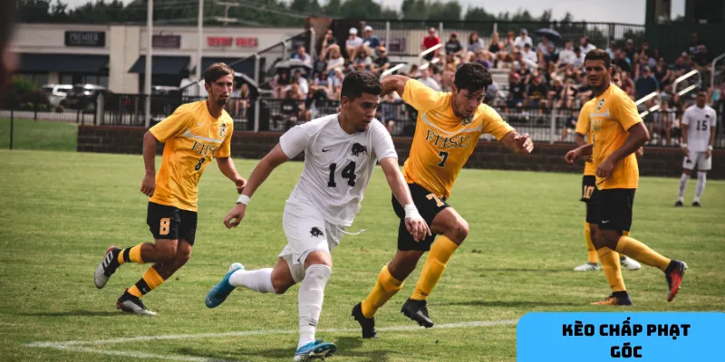 Số phạt góc phụ thuộc lớn vào chiến thuật và sức mạnh đội bóng.