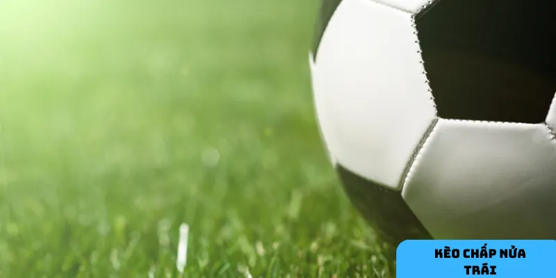 Thống kê giúp tăng độ chính xác.