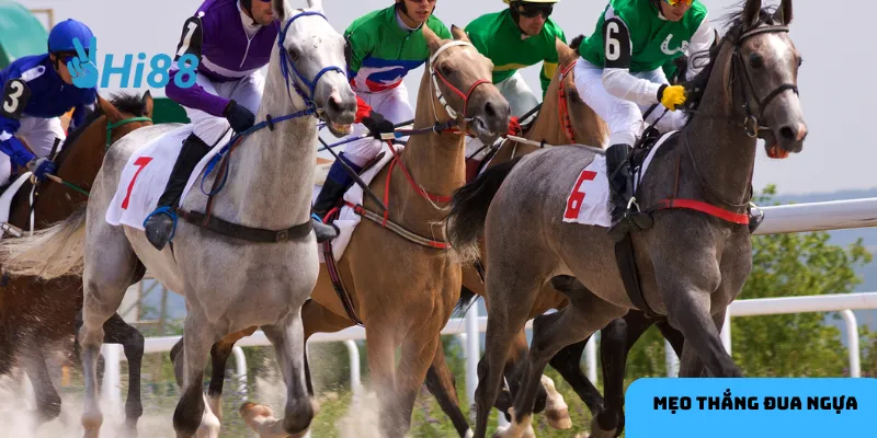 Hiểu rõ các yếu tố ảnh hưởng là chìa khóa để xây dựng chiến lược cá cược hiệu quả.