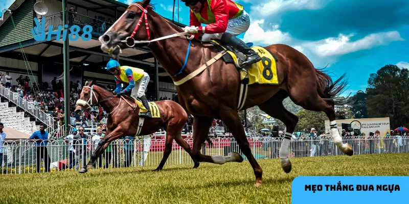 Chiến lược cá cược và quản lý vốn hiệu quả là bí quyết để giành chiến thắng lớn.