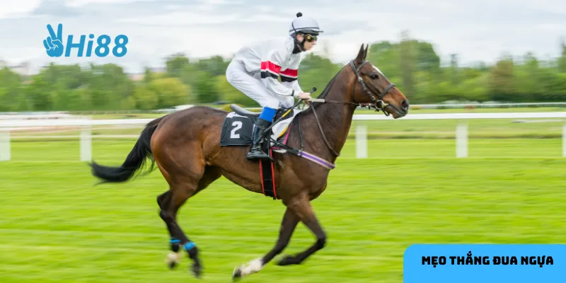 Săn kho báu đại dương kết hợp phiêu lưu và thử thách với những phần thưởng hấp dẫn.