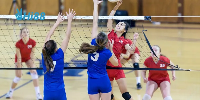 Theo dõi tin tức bóng chuyền nữ tại HI88?