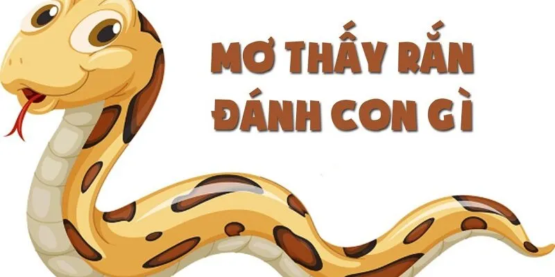 Ý nghĩa nằm mơ thấy rắn theo 789bet