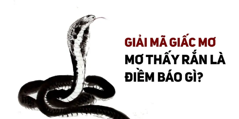  Ý nghĩa về tâm linh trong giấc mơ thấy rắn