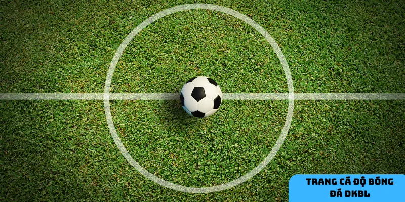 Những tính năng vượt trội của DKBL giúp bạn cá cược bóng đá dễ dàng