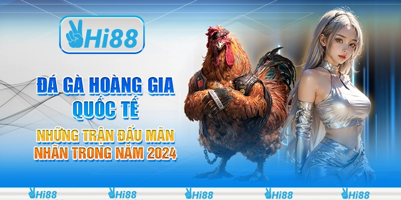 Đá gà hoàng gia quốc tế: Những trận đấu mãn nhãn trong năm 2024