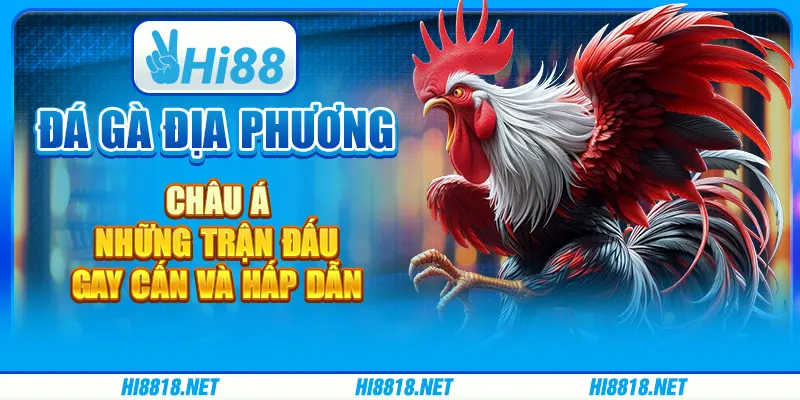 Đá gà địa phương châu Á: Môn thể thao truyền thống đầy sức hút