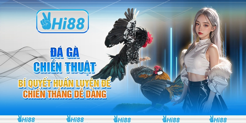 Đá gà chiến thuật: Bí quyết huấn luyện để chiến thắng dễ dàng