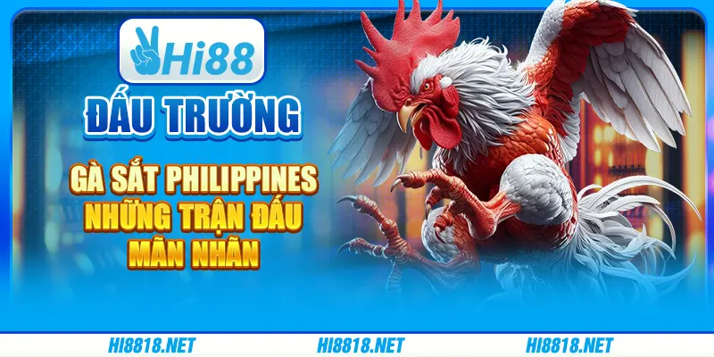 Đấu trường gà sắt Philippines: Những trận đấu mãn nhãn