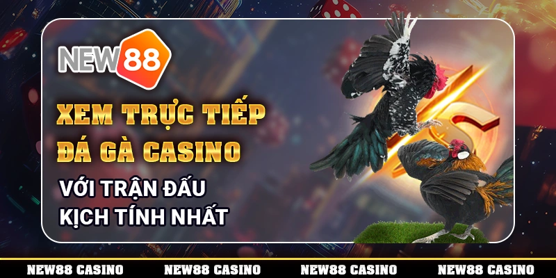 Trực tiếp đá gà casino