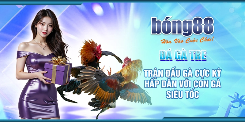 đá gà tre