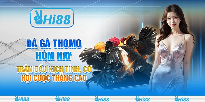 Đá gà Thomo hôm nay: Trận đấu kịch tính, cơ hội cược thắng cao