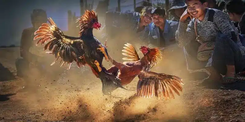 Giá trị tối ưu cho người chơi