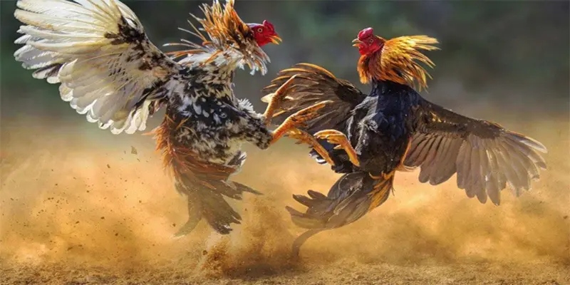 Những tính năng hỗ trợ hết mình cho người chơi mang đến trải nghiệm tốt nhất!