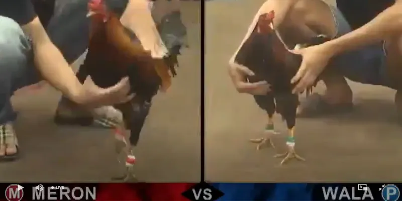 Thắng nhanh thưởng lớn Tinh thần thép