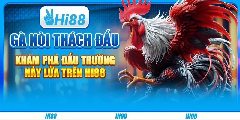 Gà nòi thách đấu - khám phá đấu trường nảy lửa trên Hi88