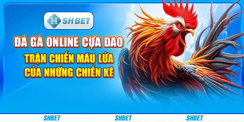 Đá Gà Online Cựa Dao