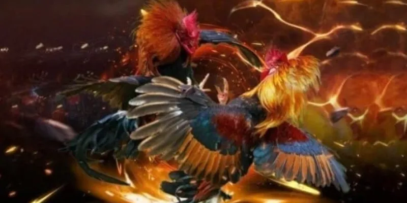 Loại hình giải trí độc đáo tại nền tảng