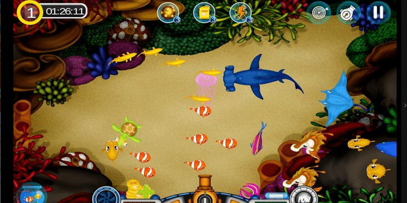 Người tham gia có thể chọn mức cược mà mình mong muốn