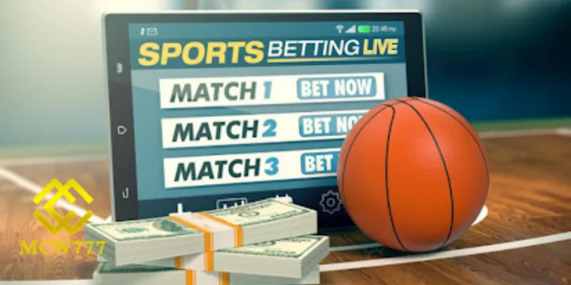 Bí quyết cược bóng rổ hiệu quả giúp gia tăng tỷ lệ chiến thắng